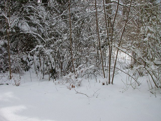 Trải Nghiệm Soi Tài Xỉu Go88 – Đài Phát Thanh Hiện Đại Và Sôi Động