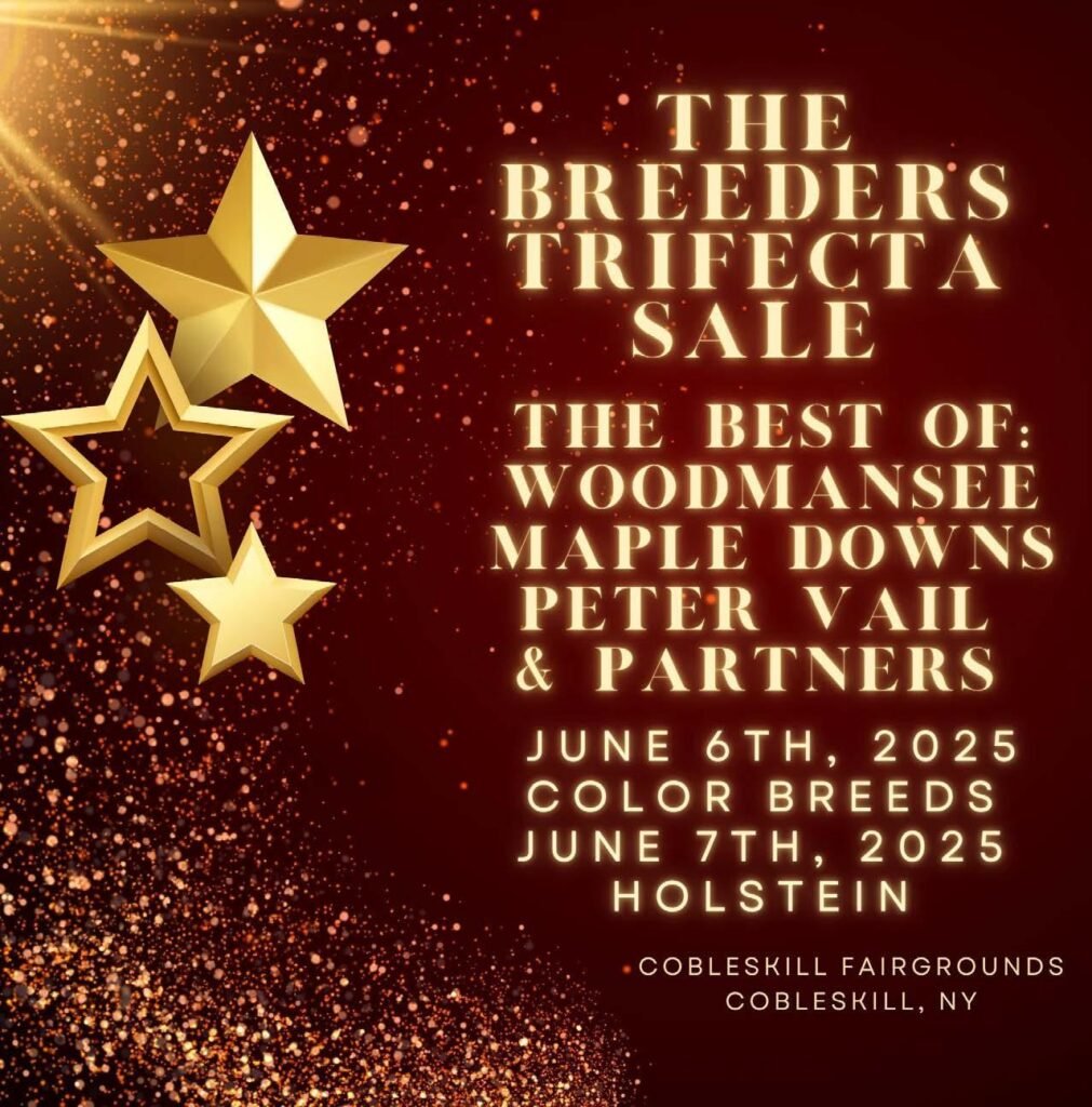 Khám Phá Vietsex88 – Cổng Ngõ Đến Thành Công