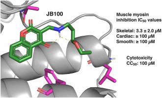 Khám Phá Du Lịch Hạ Long Review – Hành Trình Giải Trí Đỉnh Cao