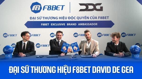 Review Đi Cù Lao Chàm Tự Túc Khám Phá Thế Giới Cá Cược Đỉnh Cao & Cơ Hội Vàng