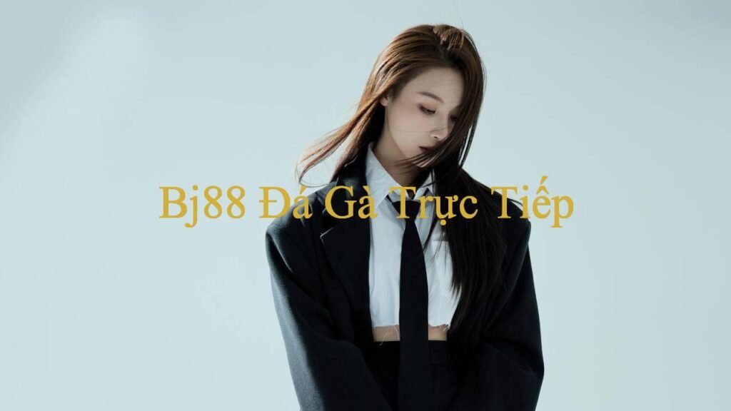 Xe Cub Điện Trải Nghiệm Đặc Sắc Từ Những Sới Gà Hàng Đầu