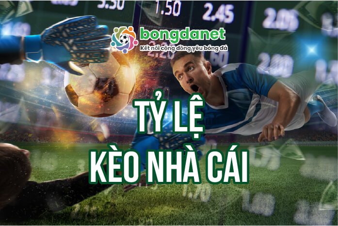 Thấu Hiểu Sức Mạnh Mua Nhà Đất Tphcm Chiến Thắng Từ Thông Tin