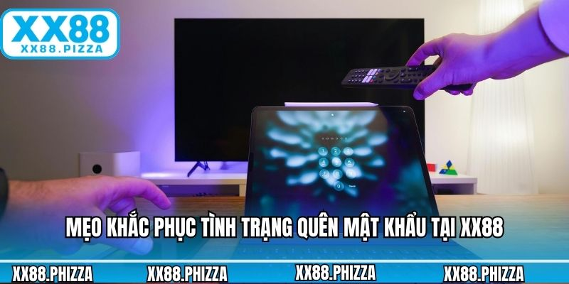 Khám Phá Thế Giới Giải Trí Đỉnh Cao Cùng Sex Hay Mới Địa Chỉ Tin Cậy Cho Người Yêu Cầu Vui Chơi An Toàn Và Thú Vị